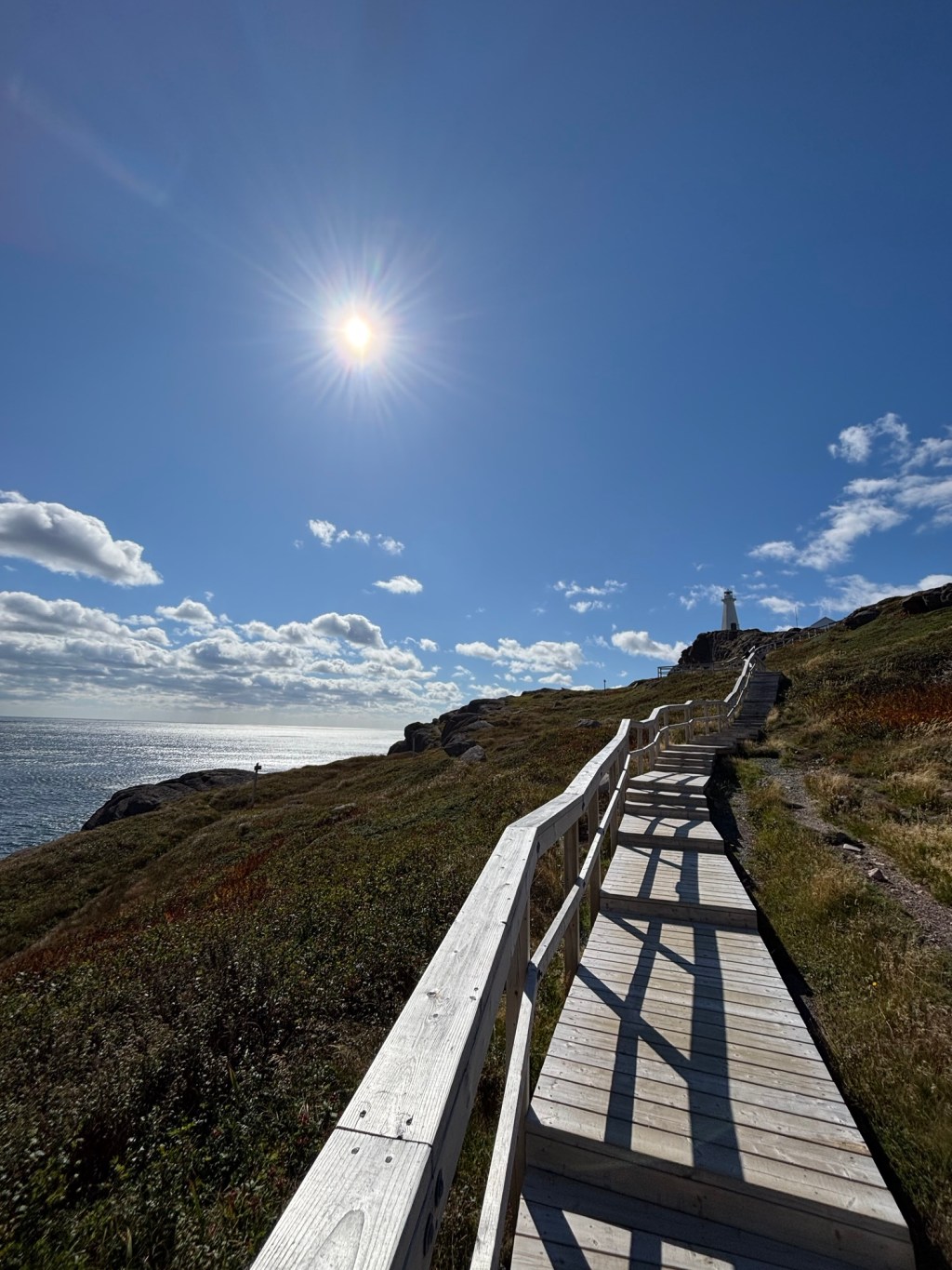 Navigating Adult Life: The Need for&nbsp;Permission